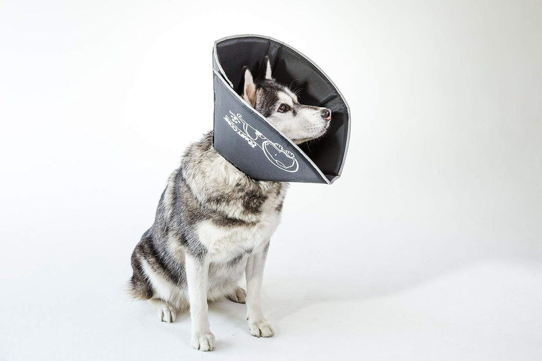 All Four Paws „The Comfy Cone“ Halskrause für Haustiere, Large
