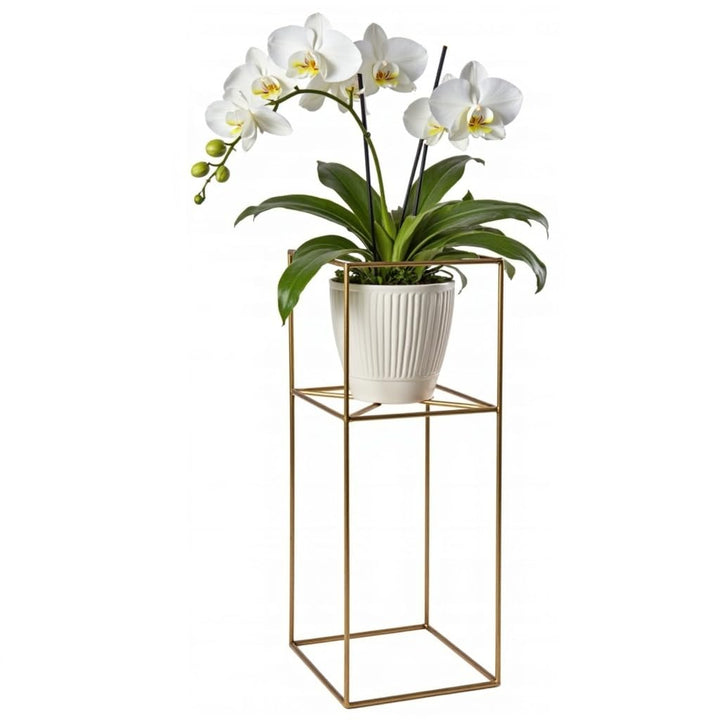 Pflanzenständer Filo - 24x24x60cm - Farbe Gold - für Zimmerblumen - Metallregal - Dekorativer Tisch