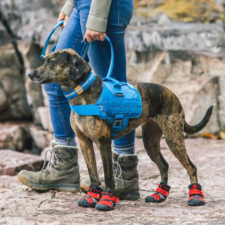 Kurgo RSG Townie Hundegeschirr, Einfaches Anlegen und Abnehmen, Einstellbare Brust- und Bauchgurte,