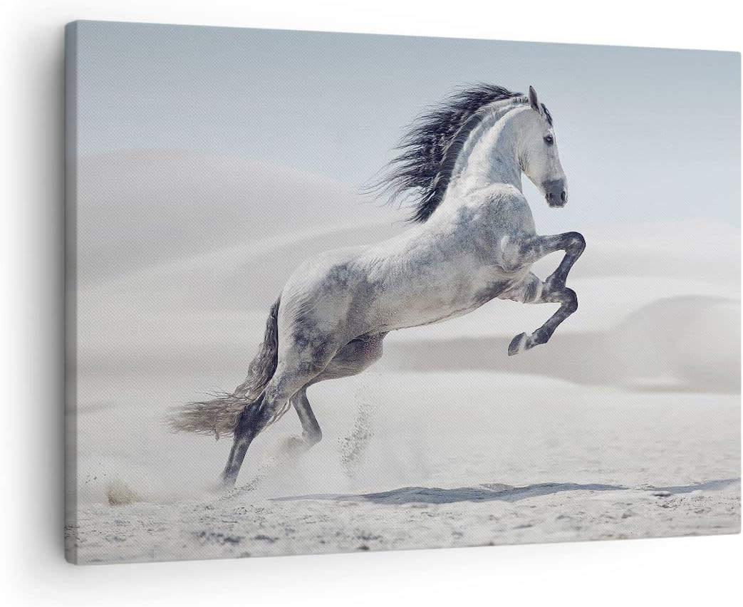 Bilder auf Leinwand Pferd Tier Natur Leinwandbild mit Rahmen 70x50cm Wandbilder Dekoration Wohnzimme