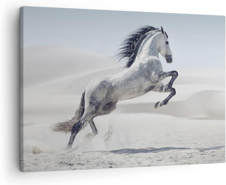 Bilder auf Leinwand Pferd Tier Natur Leinwandbild mit Rahmen 70x50cm Wandbilder Dekoration Wohnzimme