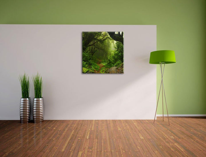 Mystischer Regenwald, Format: 70x70 auf Leinwand, XXL riesige Bilder fertig gerahmt mit Keilrahmen,