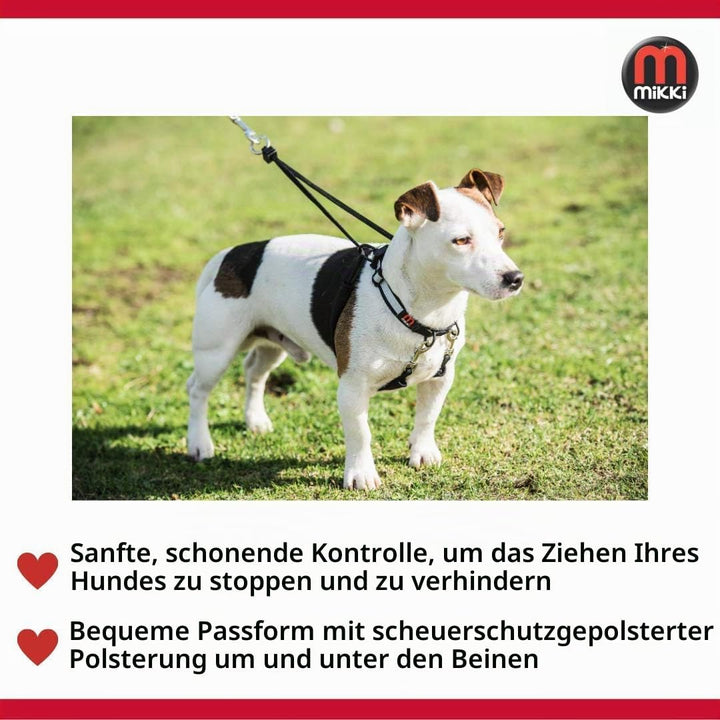 Mikki Trainingsgeschirr aus dem Walkrite-Sortiment gegen unkontrolliertes Ziehen, mit reflektierende