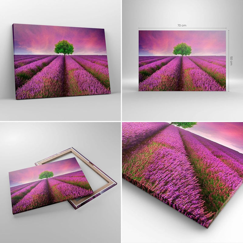 Bilder auf Leinwand Wiese lavenda Sommer Landschaft Leinwandbild 70x50cm Wandbilder Dekoration Wohnz