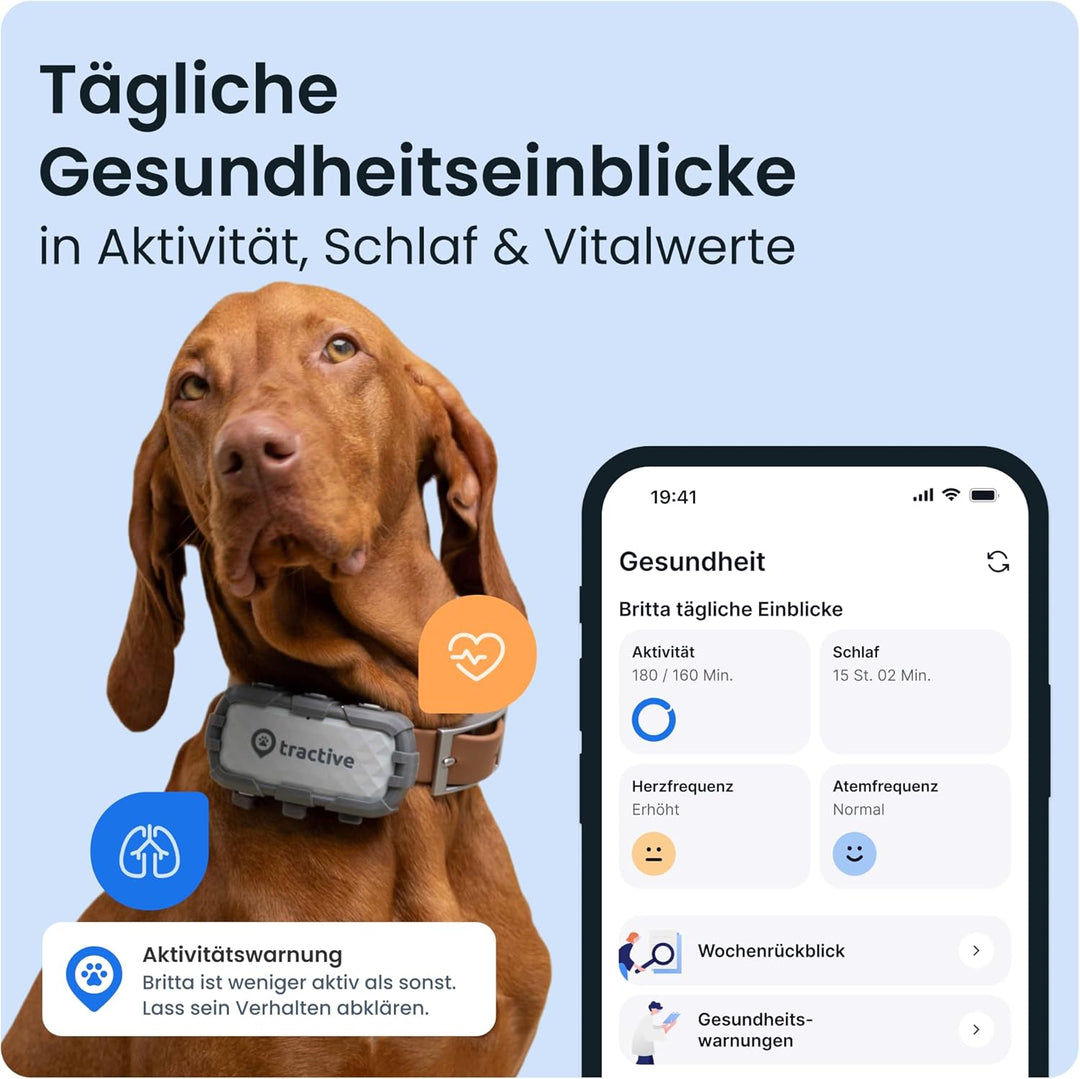 Tractive GPS Tracker Hund - XL Adventure | Bissfestes Glasfasergehäuse | Bis zu 1 Monat Akku | Markt