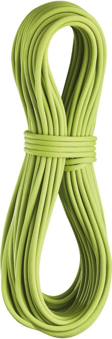 EDELRID Apus Pro Dry 7,9 mm Halbseil, icemint, 40m