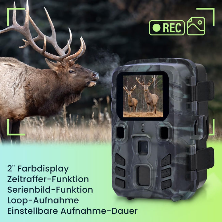 Kompakte Wildkamera, Full HD, PIR Bewegungssensor, Nachtsicht mit IR LEDs, IPX5, 180g leicht, Farbdi