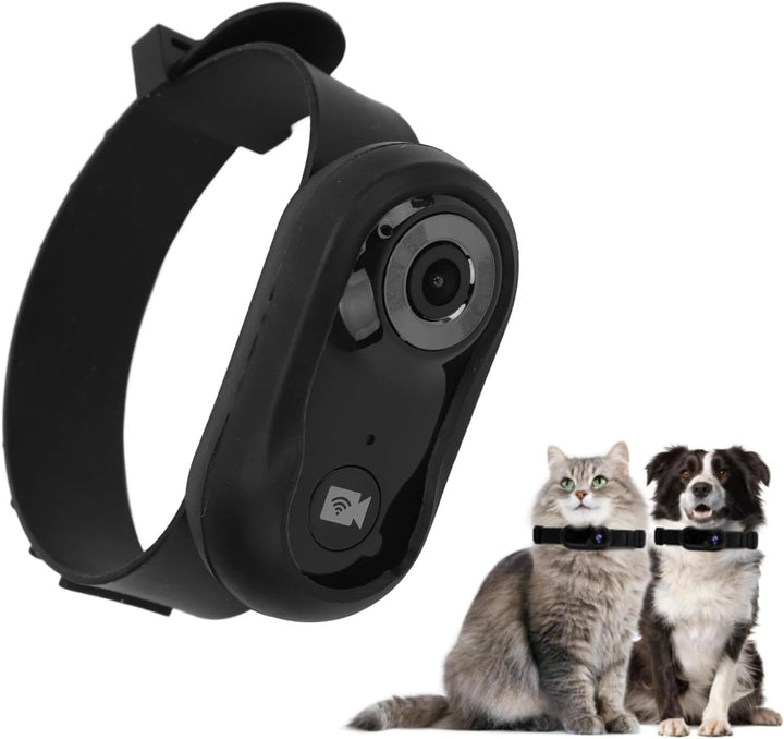 Bewinner Katzen Kamera Halsband – 120° Weitwinkel Sportkamera mit LCD-Bildschirm und 8 GB Speicherka