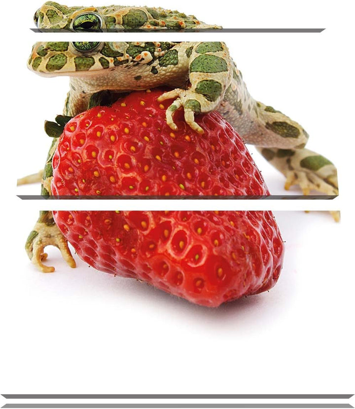 Pixxprint Erdbeere mit Frosch als Leinwandbild/Grösse: 3 Teilig (120x80) cm/Wandbild/Kunstdruck/fert