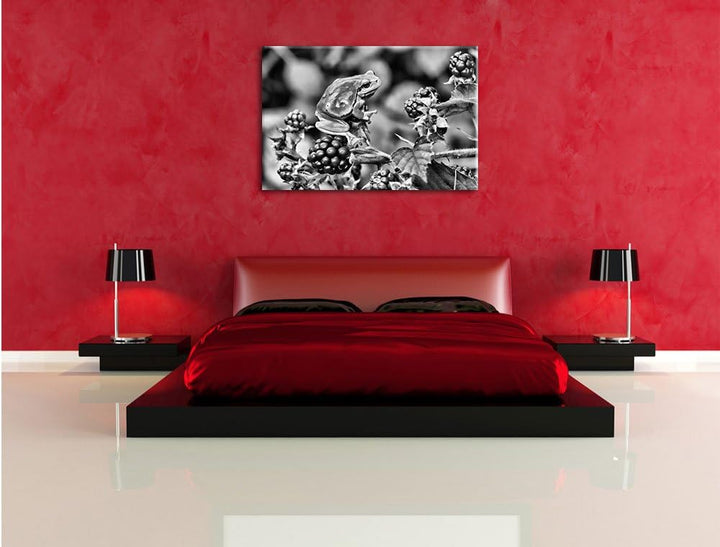 Pixxprint Kleiner Frosch auf Brombeerstrauch als Leinwandbild/Grösse: 100x70 / Wandbild/Kunstdruck/f