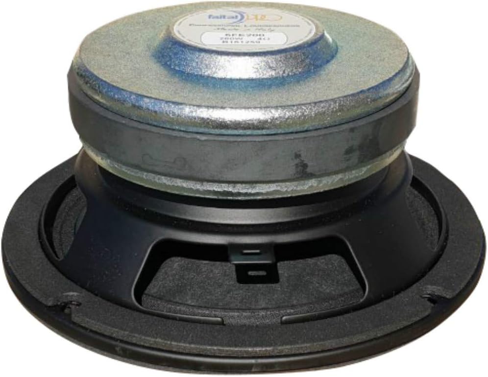 Faital Pro 1 WOOFER 6FE200 6 FE 200 Lautsprecher 16,50 cm 165 mm 6,5" Durchmesser 130 watt rms und 2