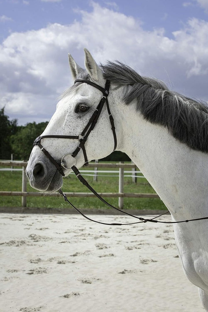 RIDING WORLD Trense Reithalfter gelbbraun Pferd, gelbbraun Pferd