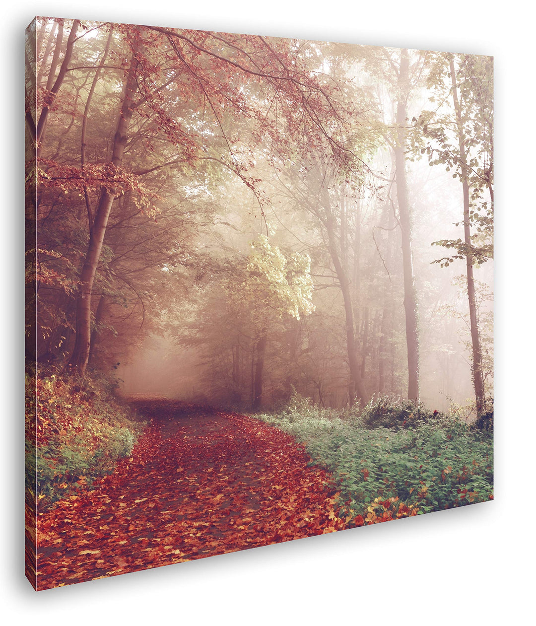 deyoli vernebelter Waldweg im Herbst Format: 70x70 als Leinwand, Motiv fertig gerahmt auf Echtholzra