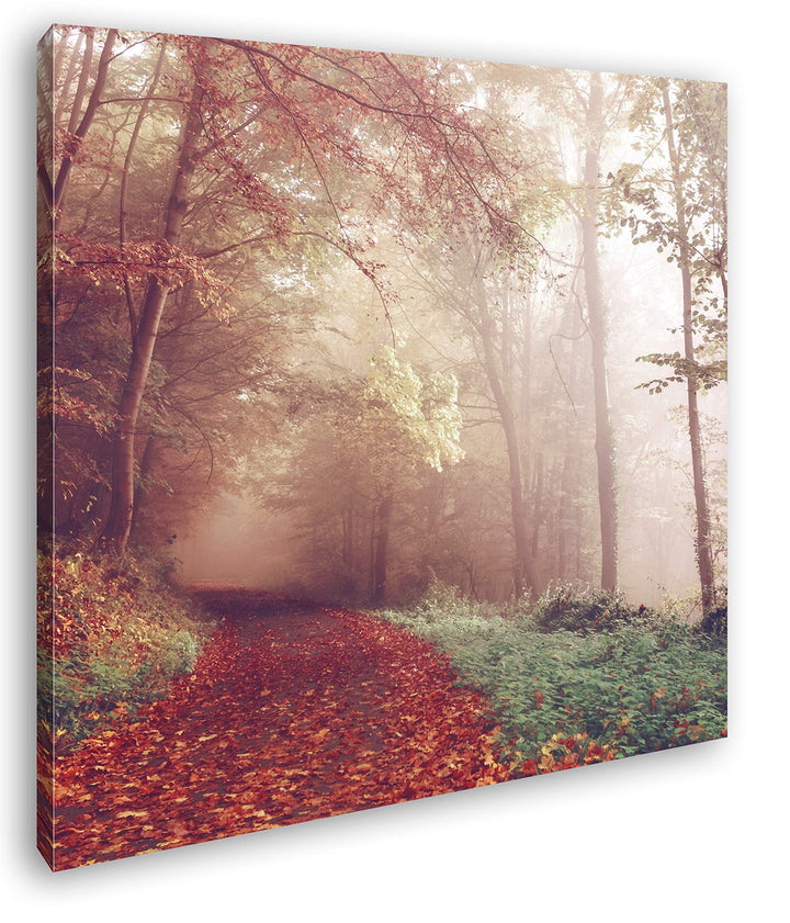 deyoli vernebelter Waldweg im Herbst Format: 70x70 als Leinwand, Motiv fertig gerahmt auf Echtholzra