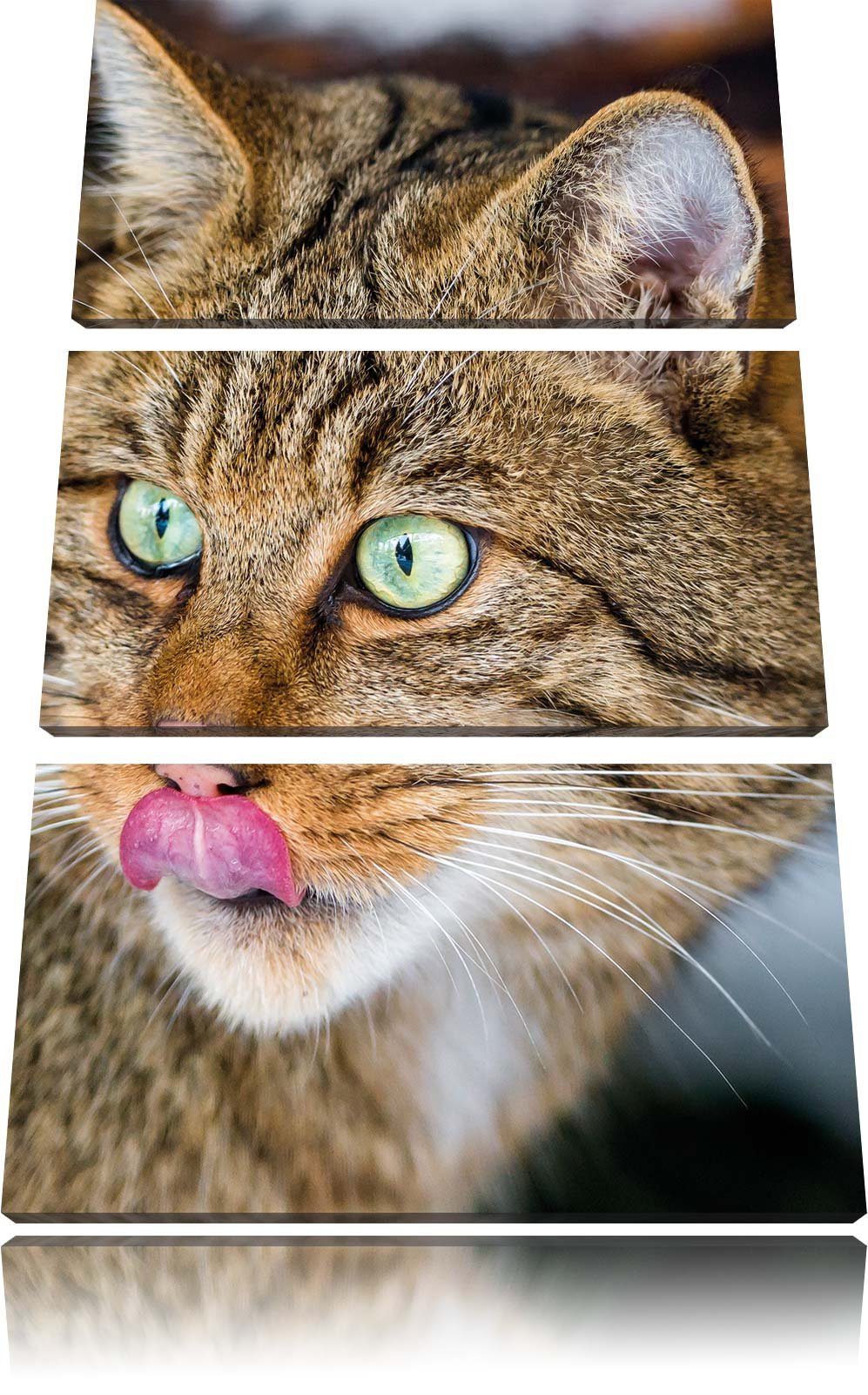 Pixxprint schöne Manul in Schneelandschaft als Leinwandbild/Grösse: 3 Teilig (120x80) cm/Wandbild/Ku