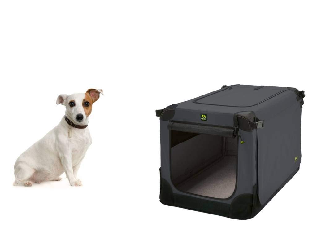 Maelson Soft Kennel Hundebox - Anthrazit - 62 x 41 x 41 cm Anthrazit L 62 x B 41 x H 41 cm, Anthrazi