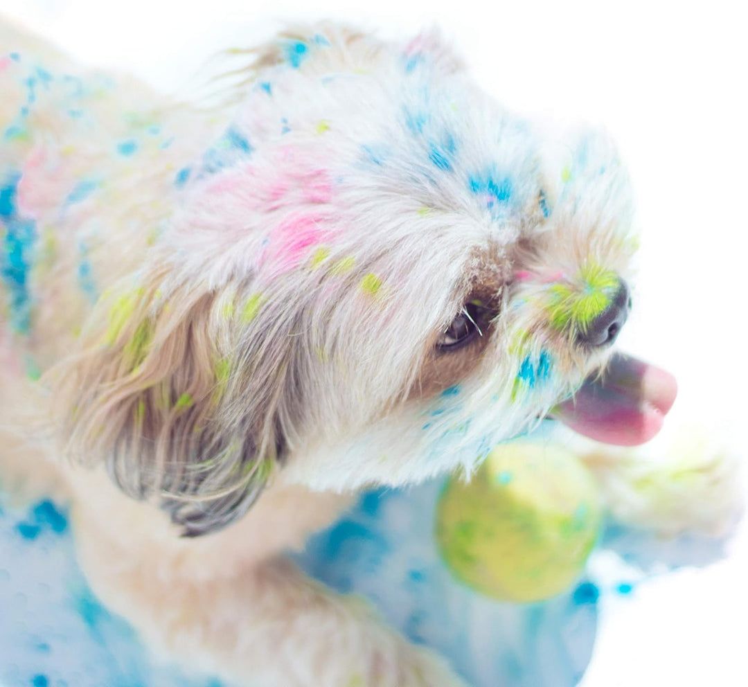Polvo Holi 8 Holi-Beutel je 100 Gramm