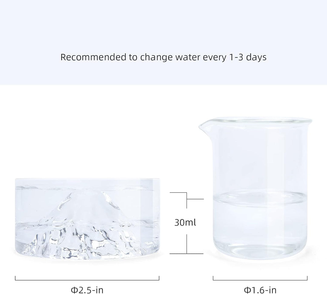 Niteangel Hamster-Futter- und Wasserschalen – Kleine Tier-Trinkschalen aus Glas für Zwerghamster, Wü