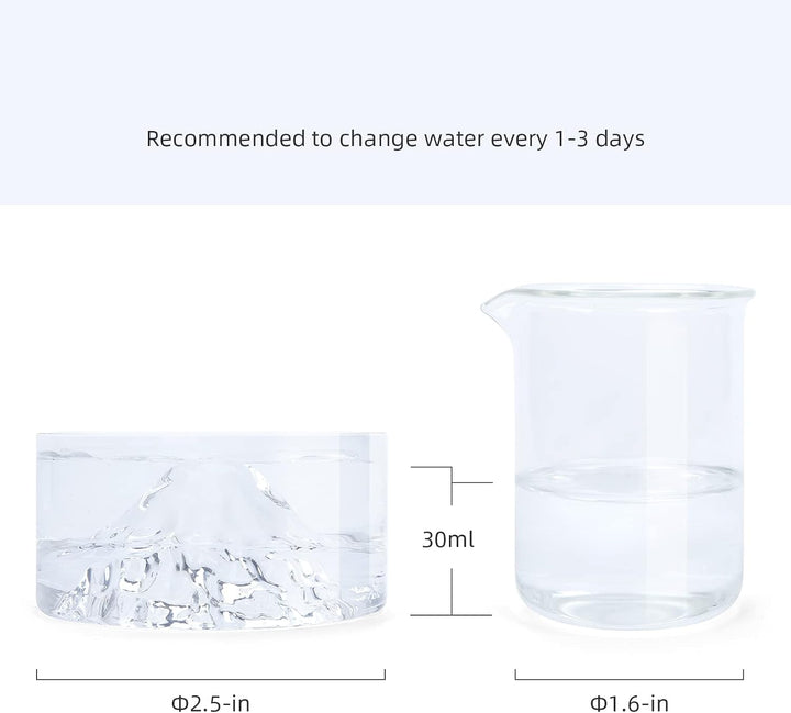 Niteangel Hamster-Futter- und Wasserschalen – Kleine Tier-Trinkschalen aus Glas für Zwerghamster, Wü
