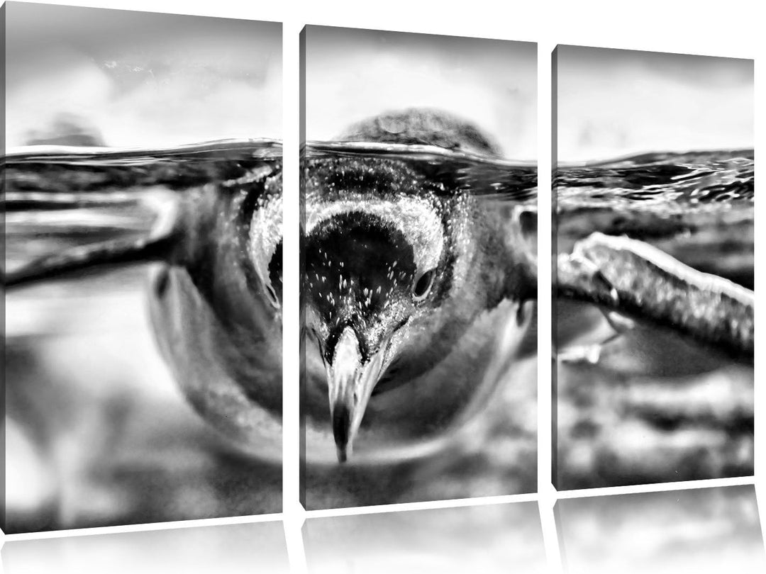 Monocrome, Pinguin im Wasser 3-Teiler Leinwandbild 120x80 Bild auf Leinwand