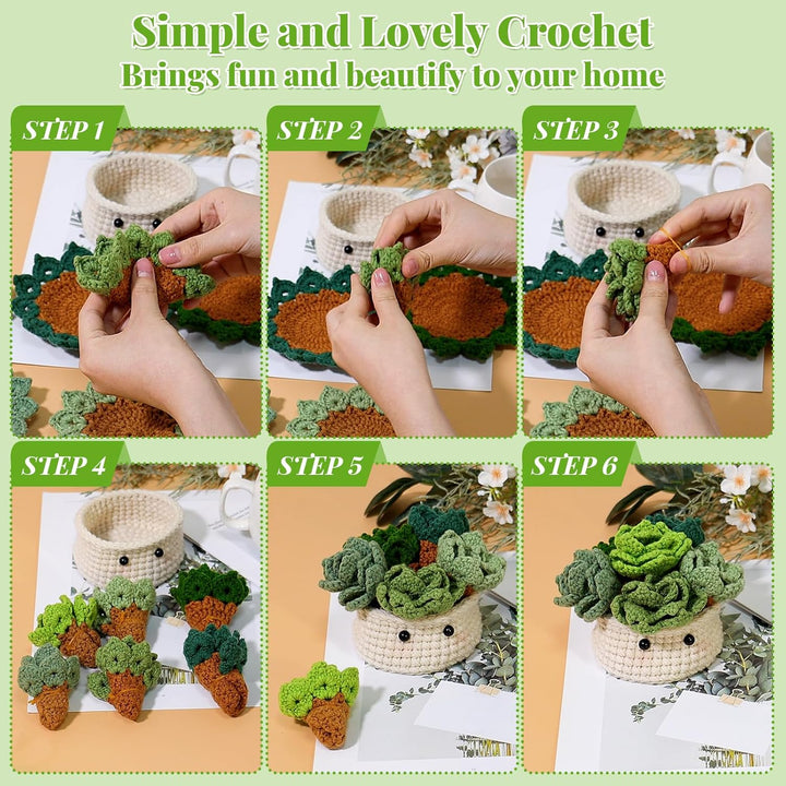 Weldomcor Häkelset für Anfänger, Häkel-Starterset Fleshiness, Blumentopf Pflanze Anfänger Häkelset,
