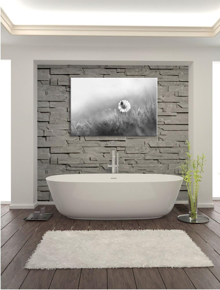 Pixxprint Gänseblümchen Marienkäfer als Leinwandbild/Grösse: 100x70 / Wandbild/Kunstdruck/fertig bes