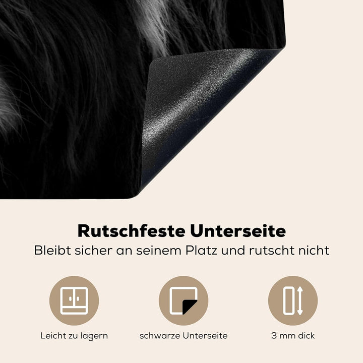 MuchoWow Herdabdeckplatte Ceranfeld Spritzschutz Küche Schottischer Highlander - Kuh - Porträt - Tie