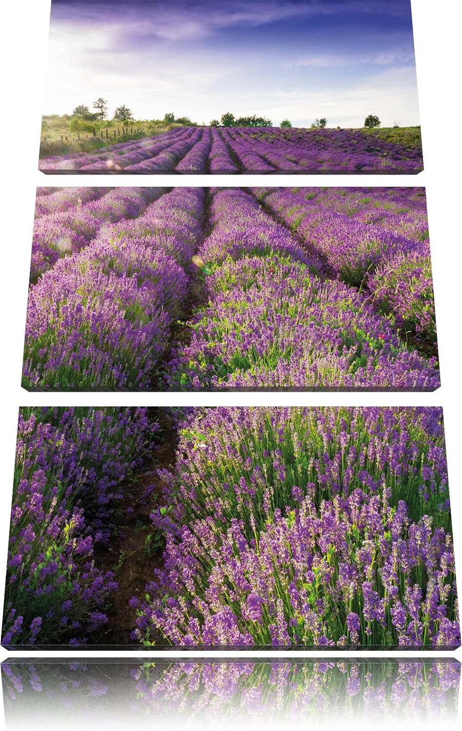 Pixxprint Lavendelfeld Provence als Leinwandbild/Grösse: 3 Teilig (120x80) cm/Wandbild/Kunstdruck/fe