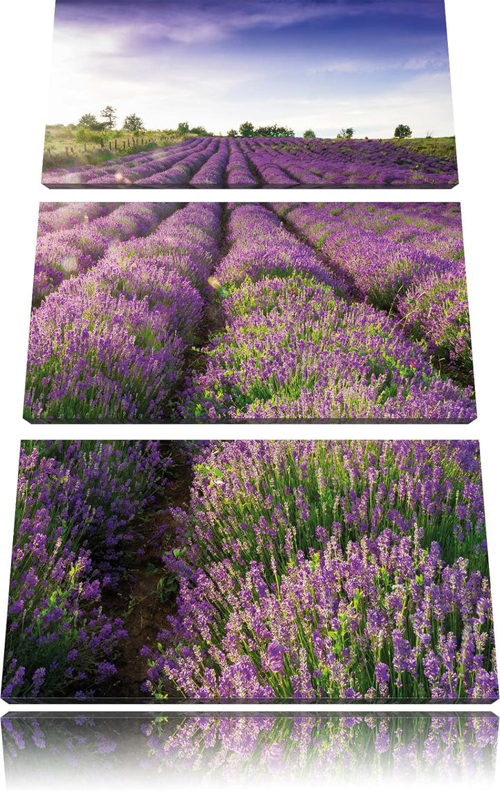 Pixxprint Lavendelfeld Provence als Leinwandbild/Grösse: 3 Teilig (120x80) cm/Wandbild/Kunstdruck/fe