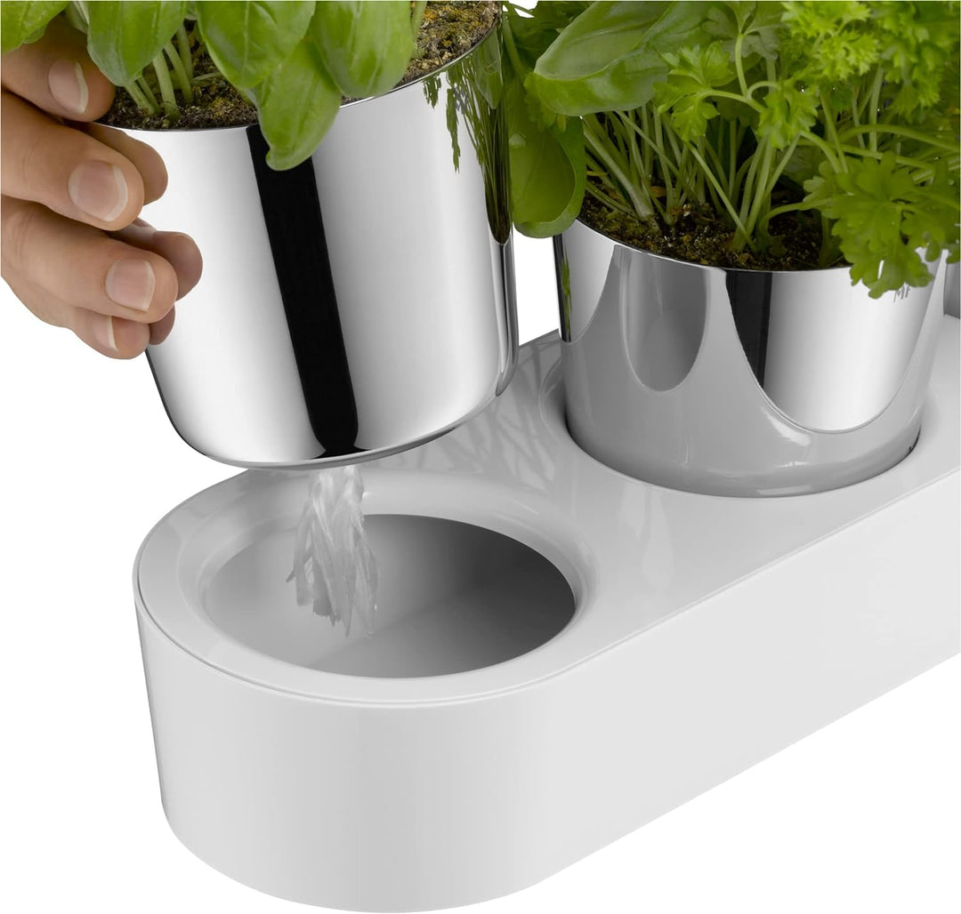 WMF Gourmet Kräutertopf mit Bewässerungssystem 3-teilig, Kräutergarten für die Küche, 36x 12,5x 12,5