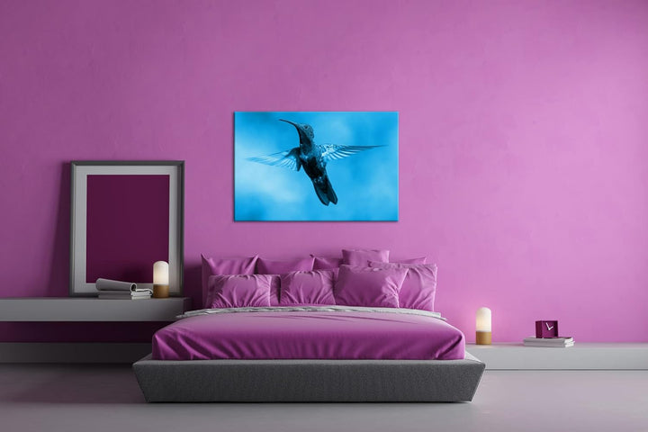 deyoli flinker Kolibri Format: 80x60 Effekt: Monocrome Blau als Leinwand, Motiv fertig gerahmt auf E