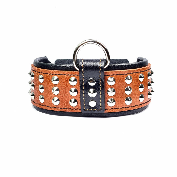 Bestia Star Hundehalsband mit Nieten und Innenpolsterung 6,5 cm Breit XL- 57.5 bis 65 cm Halsumfang