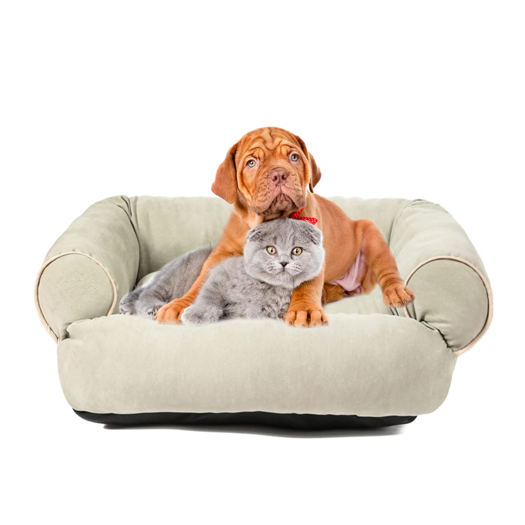 PETCUTE Katzenbett Haustierbett für Katzen und Hunde,Waschbares Orthopädisches Hundebett für Kleine