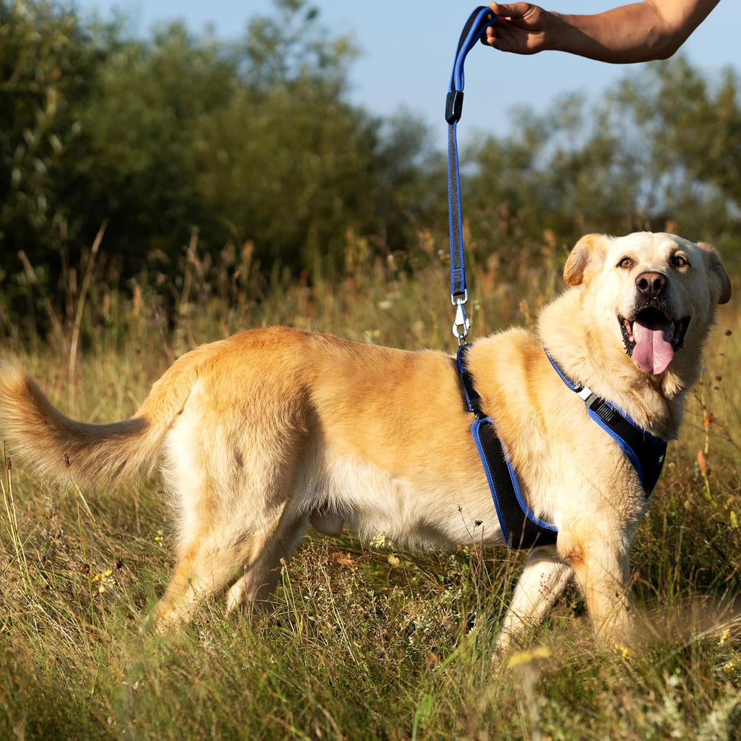 Ferplast Hundegeschirr grosse Hunde Geschirr Hunde mit Polsterung ERGOCOMFORT L, Halsumfang: 50-60 c