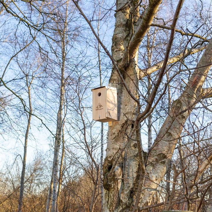 VOSS.garden Nistkasten Creek Flachdach, Vogelhaus, Meisenkasten, Brutplatz, Nisthöhle für Meisen, Sp