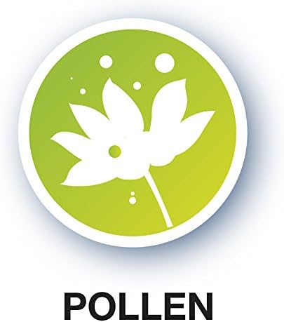 Honeywell Echter HEPA-Ersatzfilter HRF-R2E für die Anwendung im Luftreiniger HPA100WE, 1 Stück