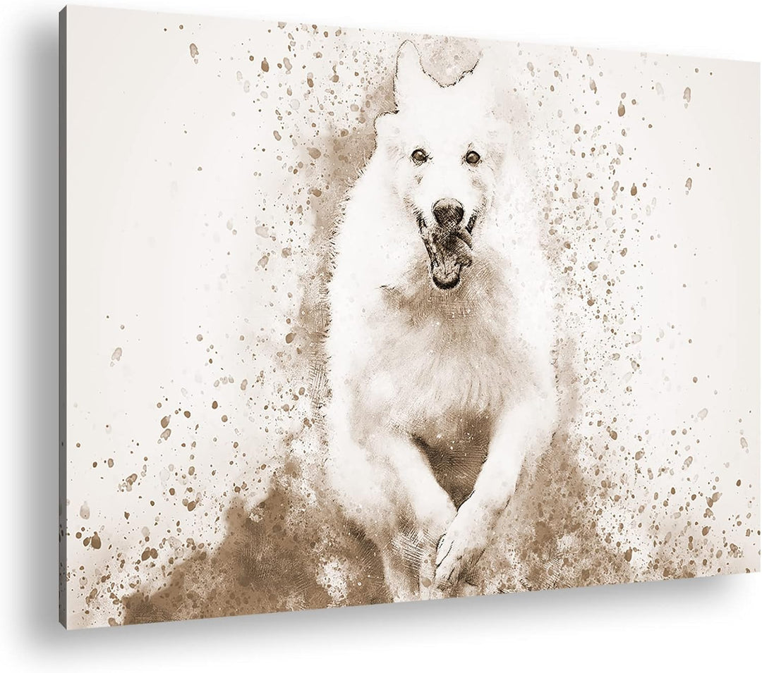 deyoli spielender Hund Format: 80x60 Effekt: Sepia als Leinwandbild, Motiv fertig gerahmt auf Echtho