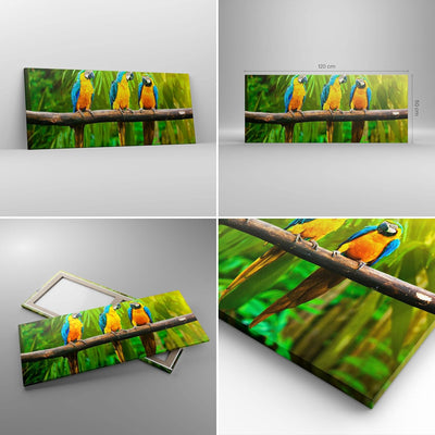 Wandbilder Dekoration Wohnzimmer Papageien Collorful Natur Vögel Panorama Bilder auf Leinwand 120x50