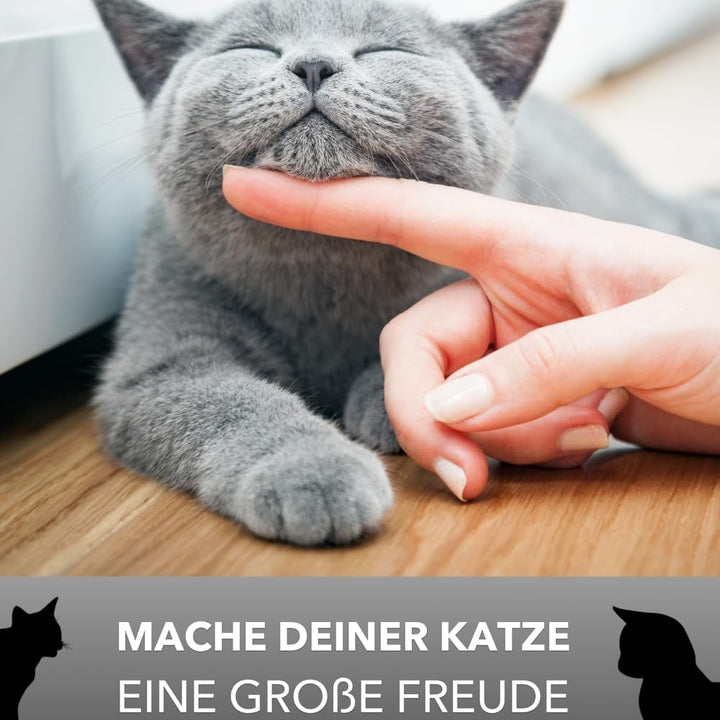 GarPet XXL Hop-In Katzenklo Katzentoilette Top Entry Jump-In Haubentoilette Gross Einstieg Oben Katz