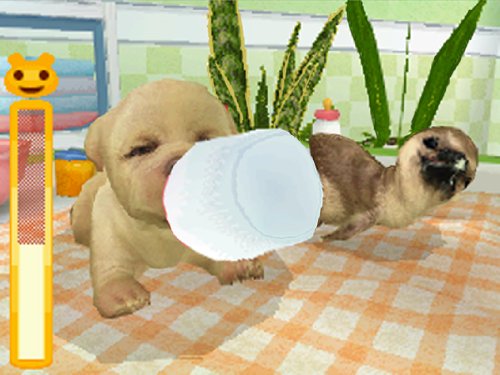 Petz - Tierbaby-Schule
