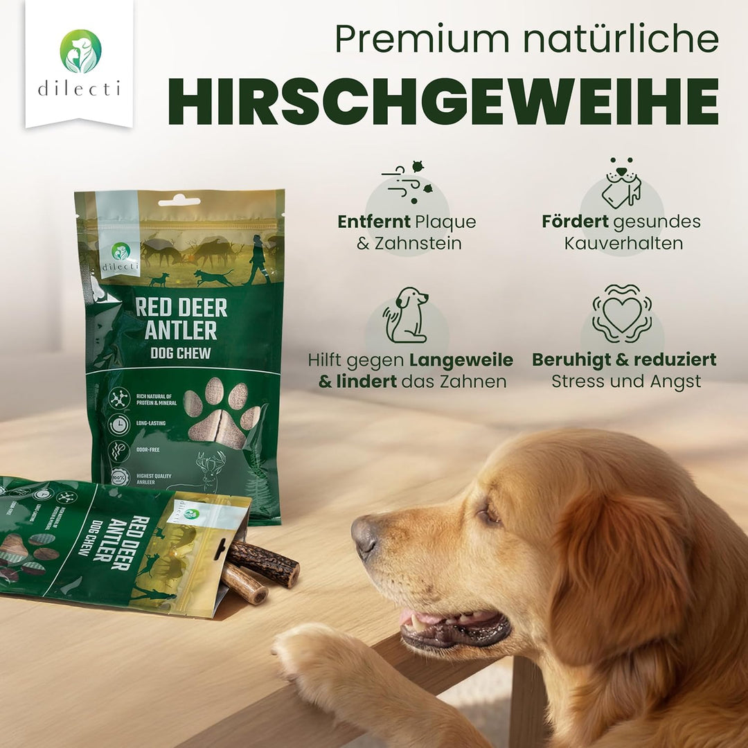 Dilecti Geweih für Hunde - Natürliche, robuste und nahrhafte Kauartikel aus Hundegeweih. Reich an Pr