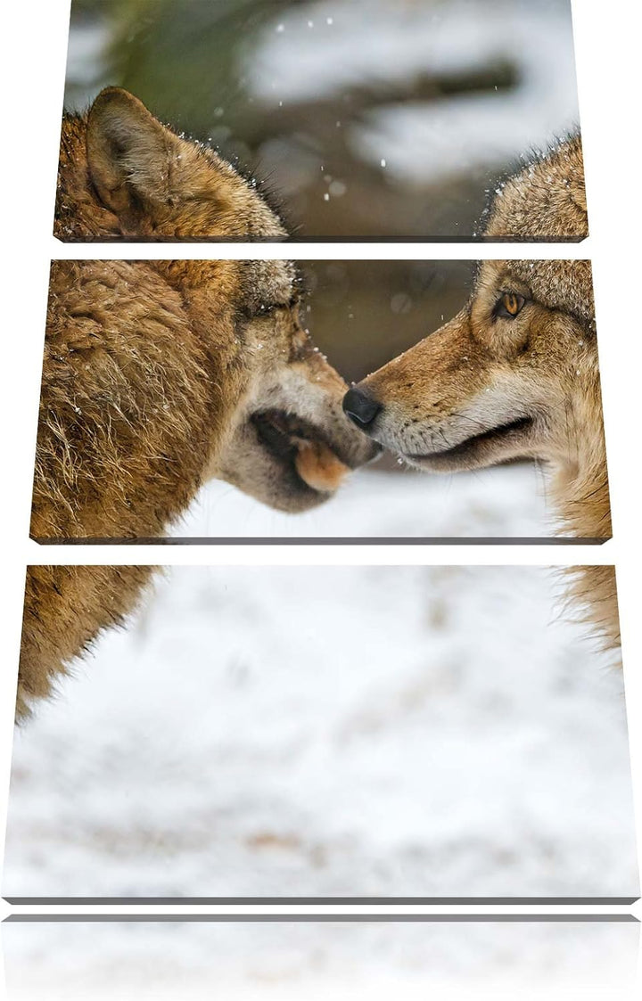 Pixxprint liebevolle Wölfe im Schnee 3-Teiler Leinwandbild 120x80 Bild auf Leinwand