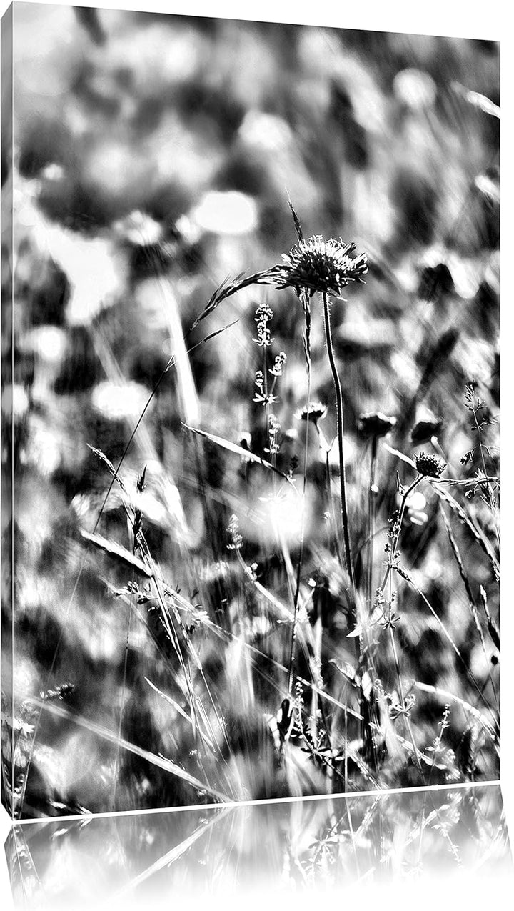 Pixxprint Bunte Gräser, Pflanzen, Natur / 100x70cm Leinwandbild bespannt auf Holzrahmen/Wandbild Kun