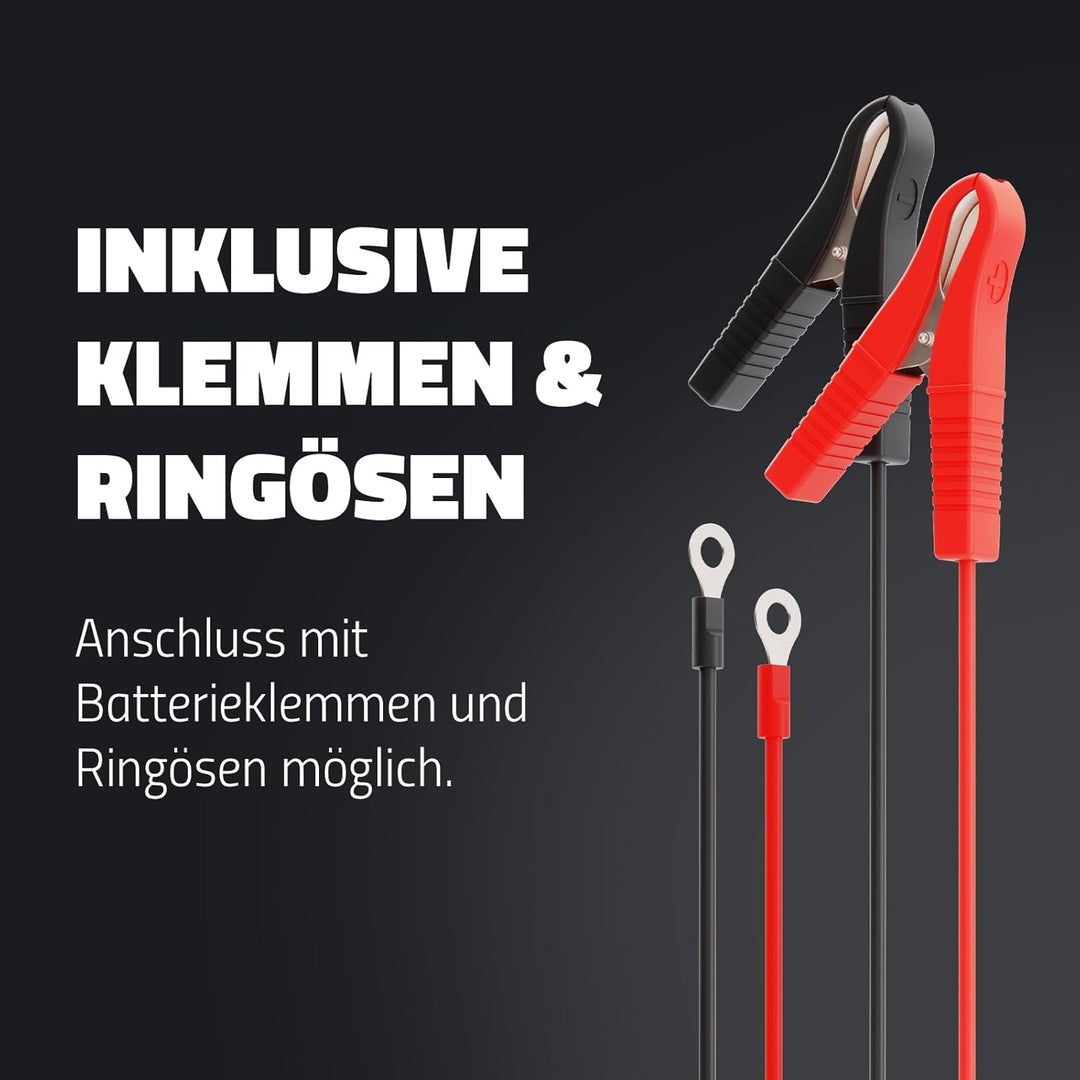 intAct ChargeBox Ladegerät für Motorradbatterien & Rollerbatterien | 0,8A Batterieladegerät für 6V u