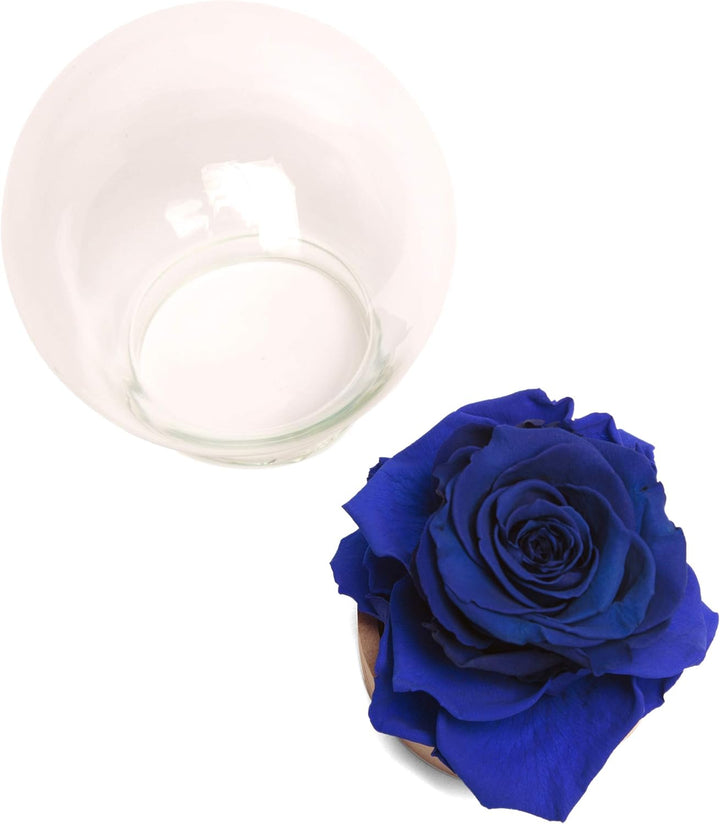 Infinity Rose im Glas die Schöne und das Biest echte langlebige Rose in Glaskugel (Large, Blau) Larg