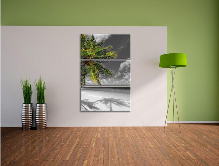 Pixxprint riesige Palem über Strand schwarz/weiss 3-Teiler Leinwandbild 120x80 Bild auf Leinwand