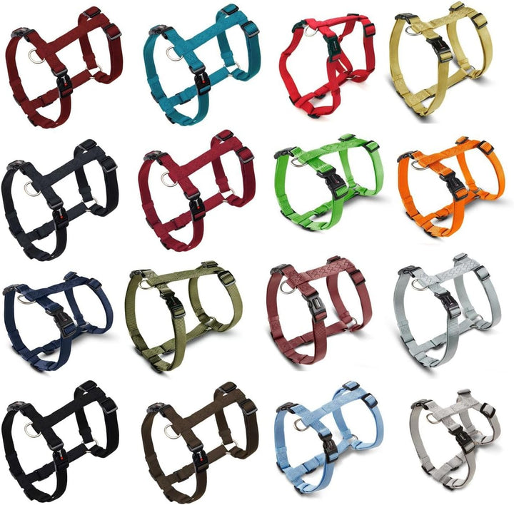 Wolters Geschirr Professional, Grösse:XL 75-100 cm x 25 mm, Farbe:Curry gelb XL 75 - 100 cm x 25 mm