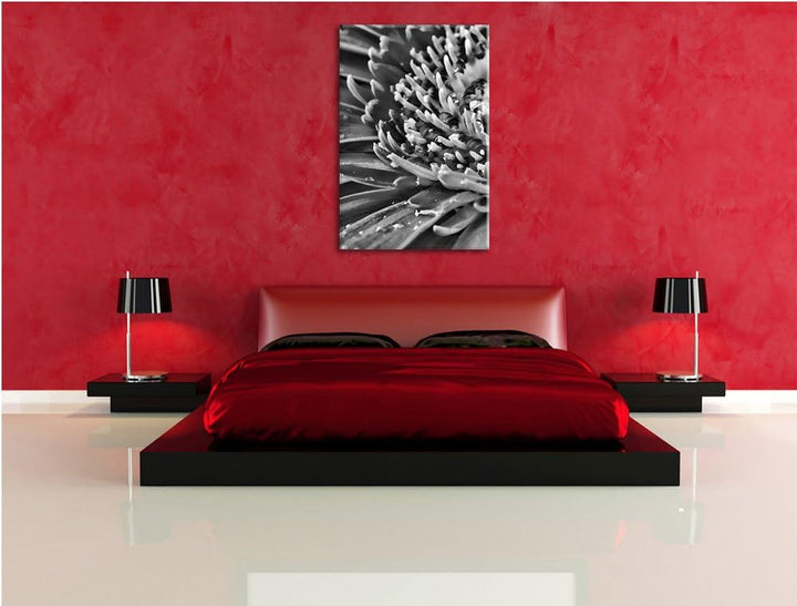 Pixxprint Monocrome, Gerbera mit Wassertropfen, Format: 100x70 auf Leinwand, riesige Bilder fertig g