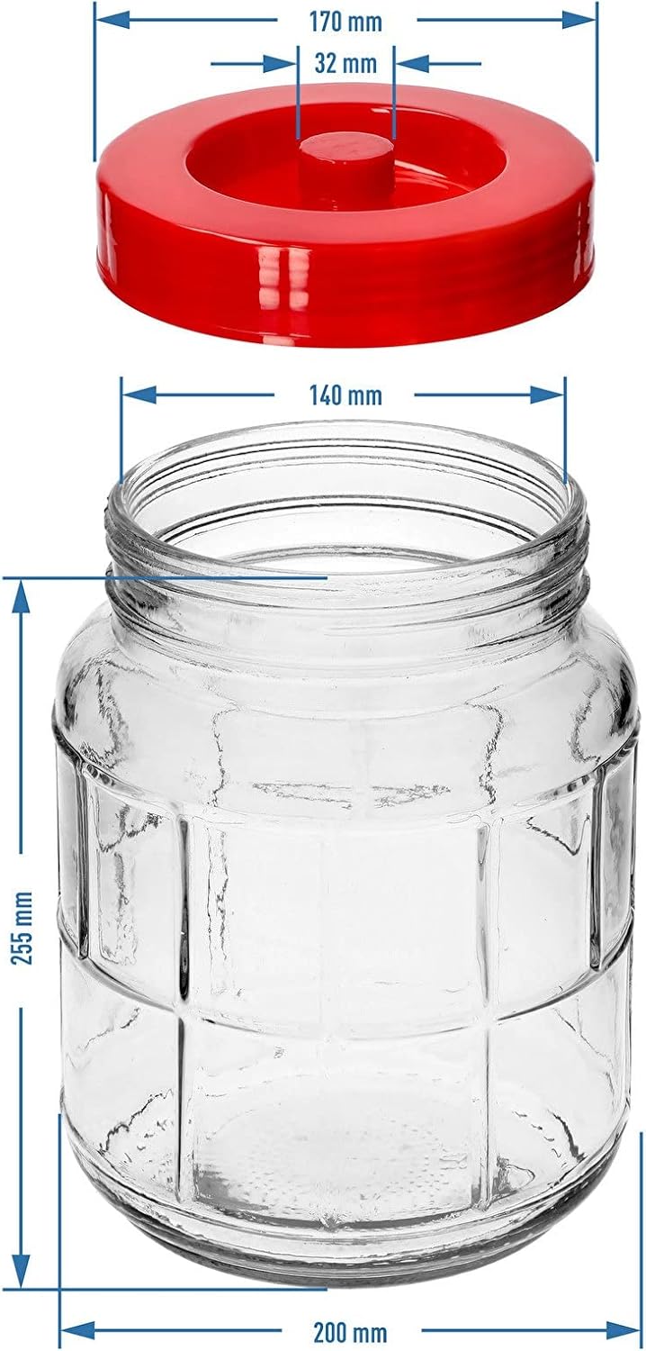 Browin 5L Gärbehälter aus Glass Glasballon mit Gäraufsatz, für Wein, Bier, Maische Weck, Weinballon
