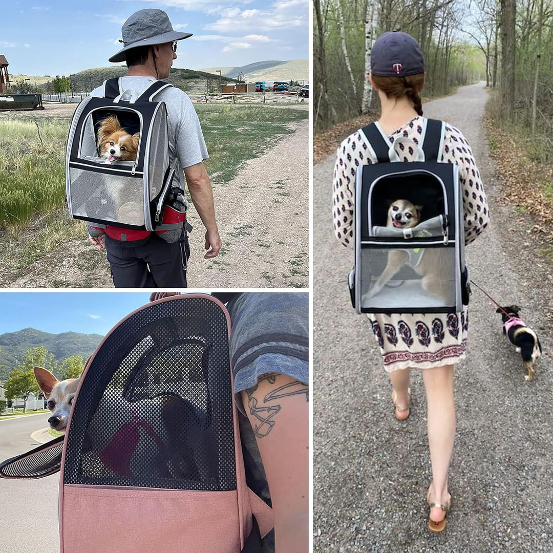 Hykiee Hunderucksack Katzenrucksack, Haustier Rucksack für Kleine Hunde Welpen bis 6kg Katzenbis 8kg